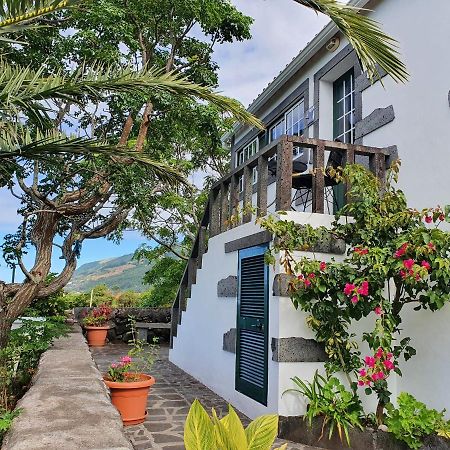 Casa Do Gato Preto Villa Santo Amaro  Eksteriør bilde