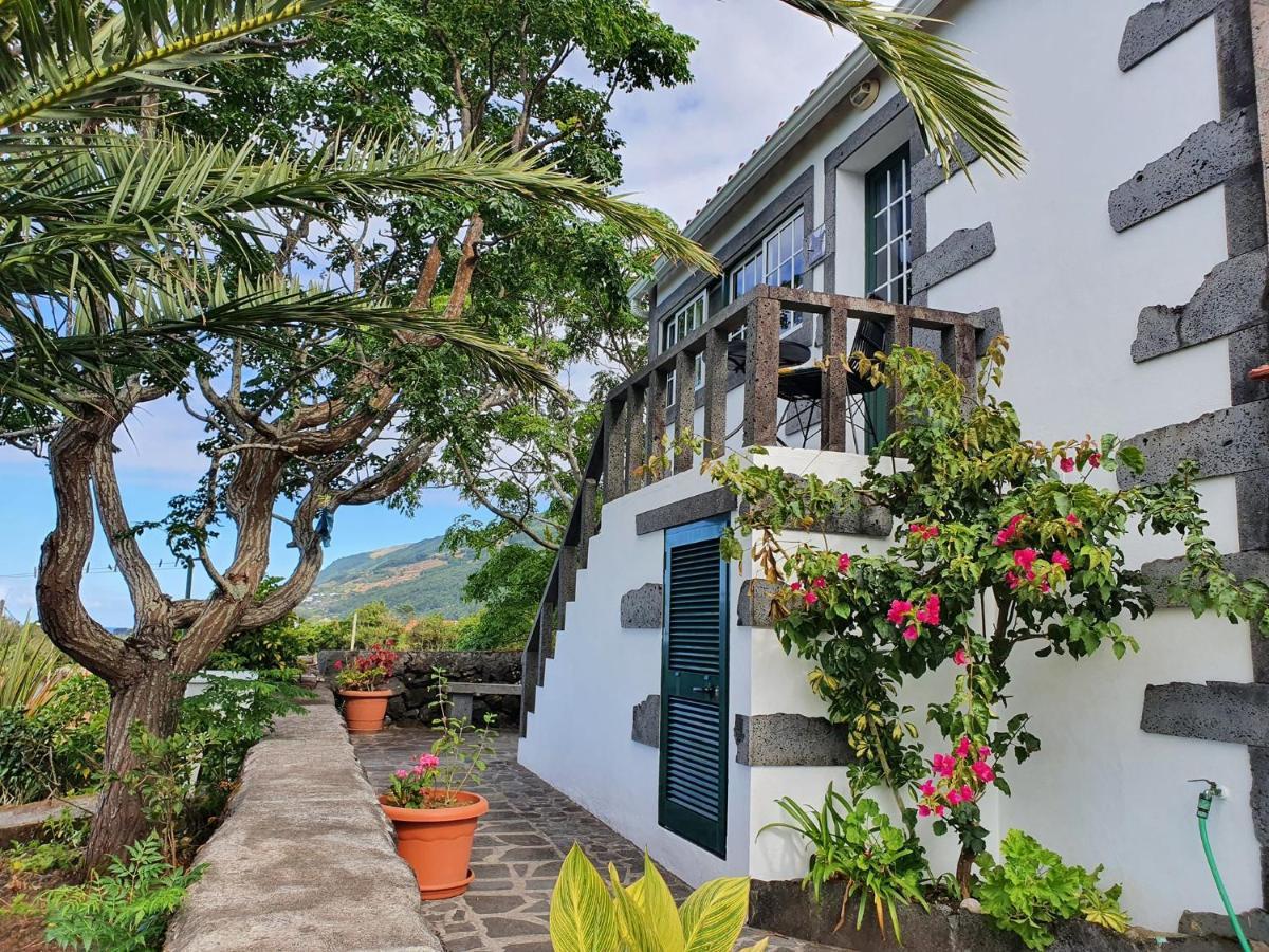 Casa Do Gato Preto Villa Santo Amaro  Eksteriør bilde